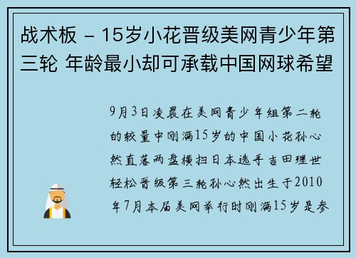 战术板 - 15岁小花晋级美网青少年第三轮 年龄最小却可承载中国网球希望